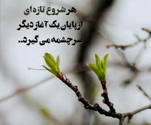 جملات و سخنان طلایی انگیزه بخش برای شروع جدید