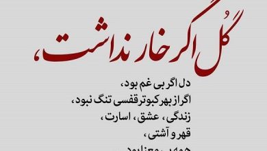 متن در مورد زیبایی