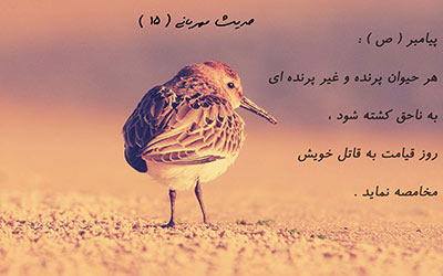 متن در مورد حیوانات