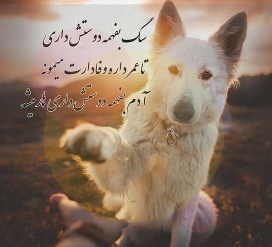 متن در مورد حیوانات