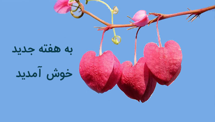 هر هفته برای من هفت روز جدیده تا بتونم خاطرات شگفت انگیزی با دوستانم بسازم آرزو می کنم امروز یکی از بهترین شنبه های زندگیت باشه دوست من!