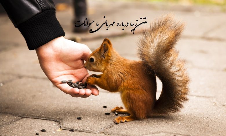 متن در مورد حیوانات