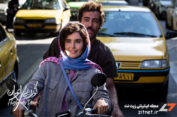 معرفی فیلم گوزن های اتوبان با بازی الناز شاکردوست | خلاصه داستان و بازیگران